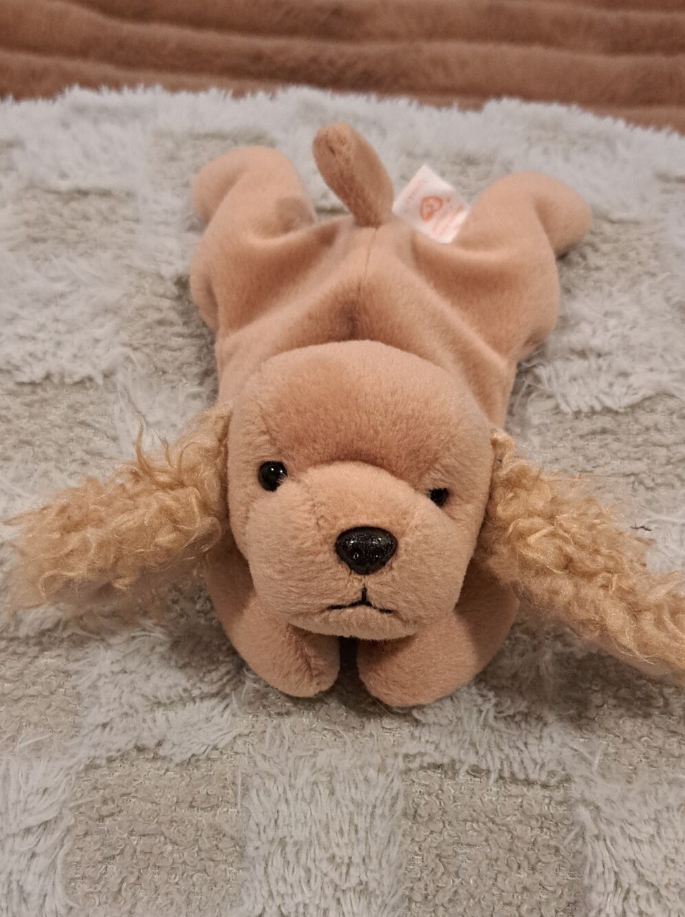 1997 Vintage Ty Beanie Baby - SPUNKY the Cocker Spaniel Dog - Plush Toy NO TAG